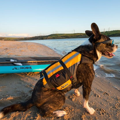 PET (ANIMAL) PFD MANGO